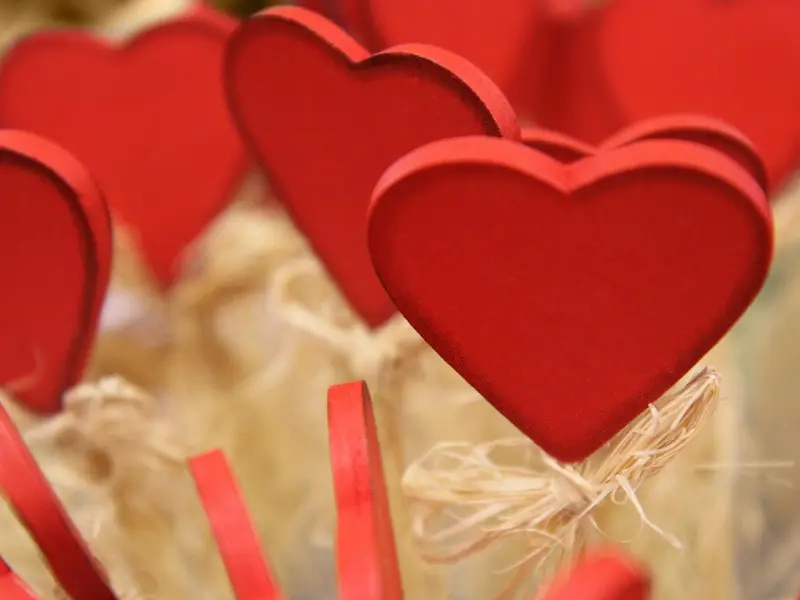 心 安 即 是 幸 福 ！