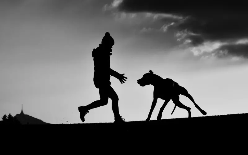 人与人 ，一场缘 ！（写得真好）