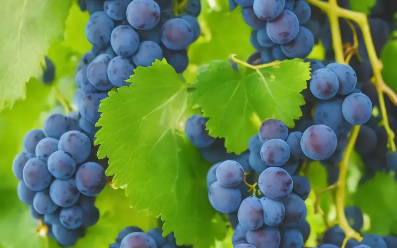 人怕走错路，情怕牵错手