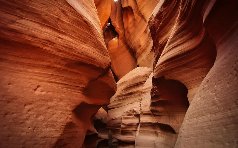 人啊，处久见真心！