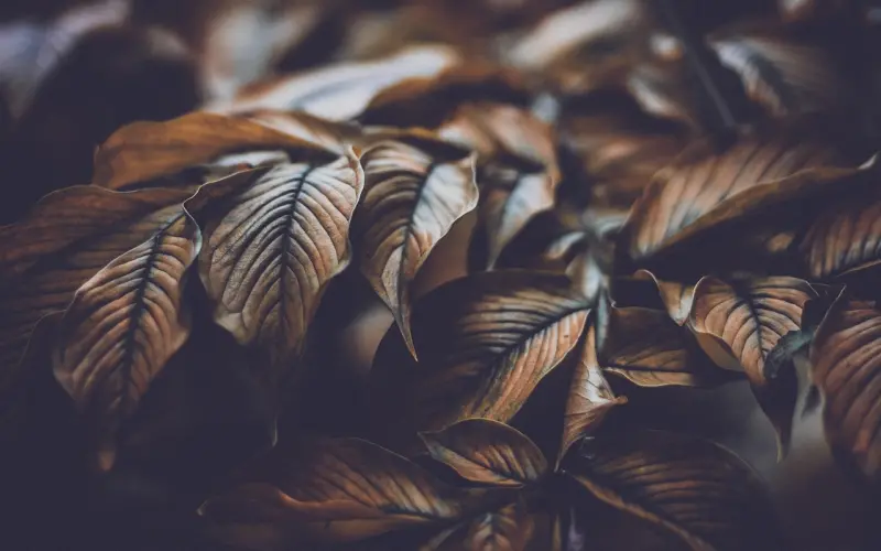 人要有尊严，更要有底线！