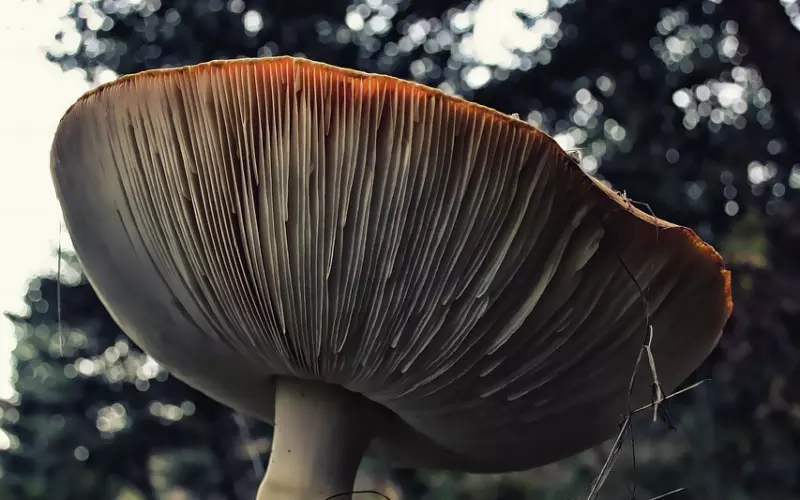 ​人千万不要喊穷，看完你就明白了！