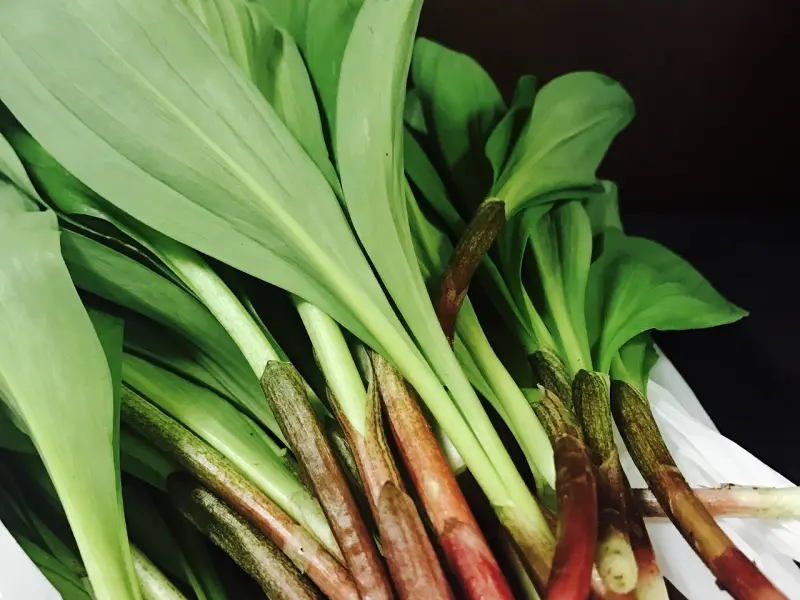 真正能做大事的人，都有这4个特征，遇到一定要深交！很精辟