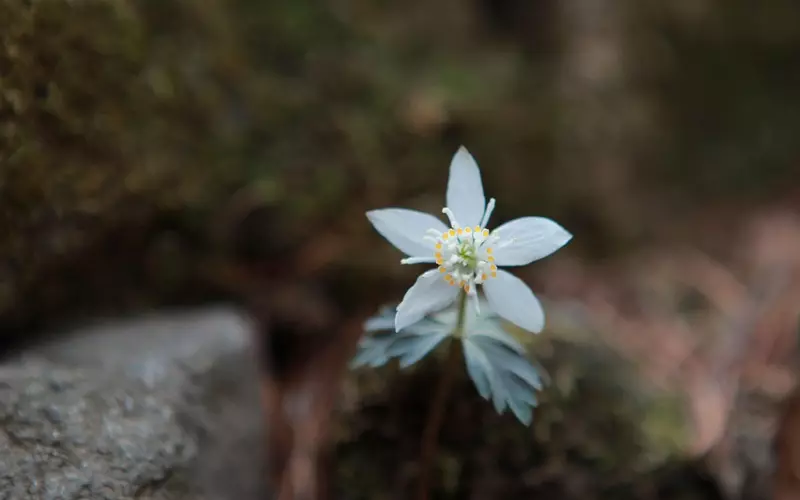 在乎你的人，风吹草动也心疼！不在乎你的人，坟头草动也无声！