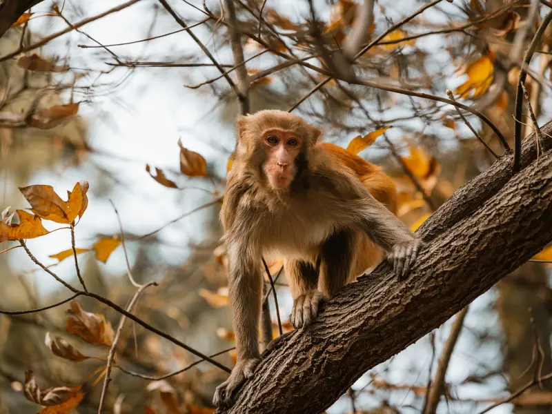 有婚外情的人，他们的心理必有以下十种征兆之一