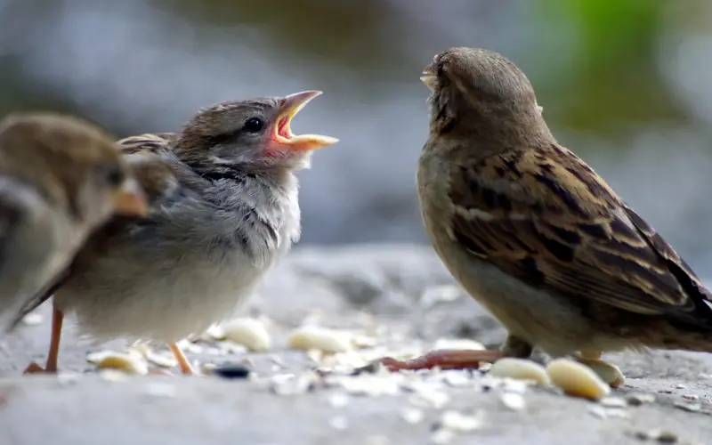 心里有你的人，何须问，何须求~~