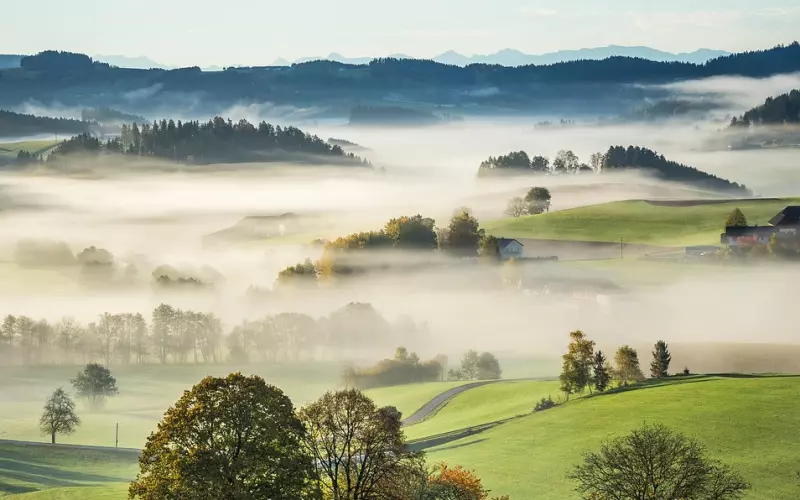 微信上常常回你“哦”的人