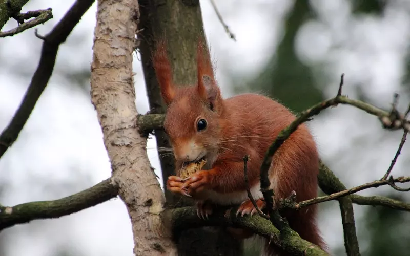 真正在乎你的人，从来不点赞！
