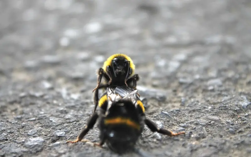 人品差的人，再努力也没有用