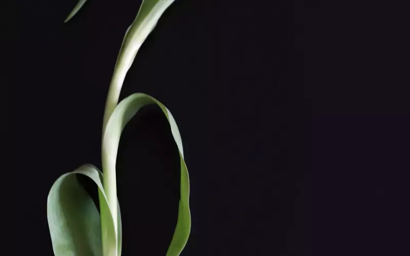 “完美主义者”就是不容易接纳自己，也不容易接纳别人！