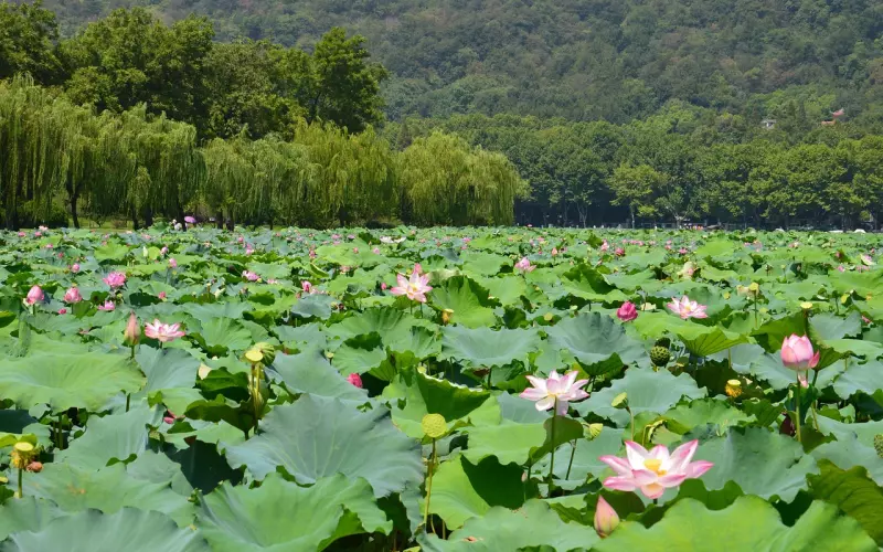 男友理性分手挽回的表现及有效方法