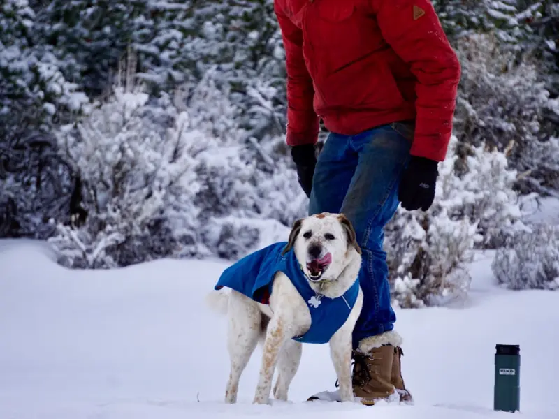 把妹地图丨王者荣耀！2017最出乎意料的脱单妙招