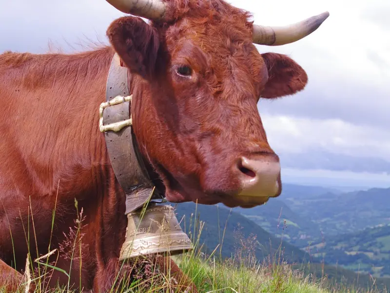 挽回前请先回答自己这些问题，必须想清楚了，因为这关乎你的幸福
