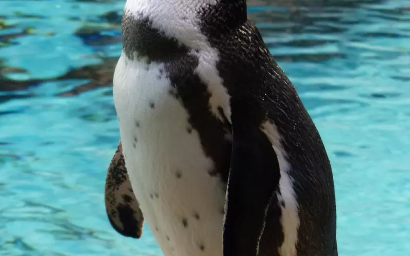 挽回前任请注意口下留情