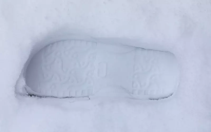 请跟随他的脚步