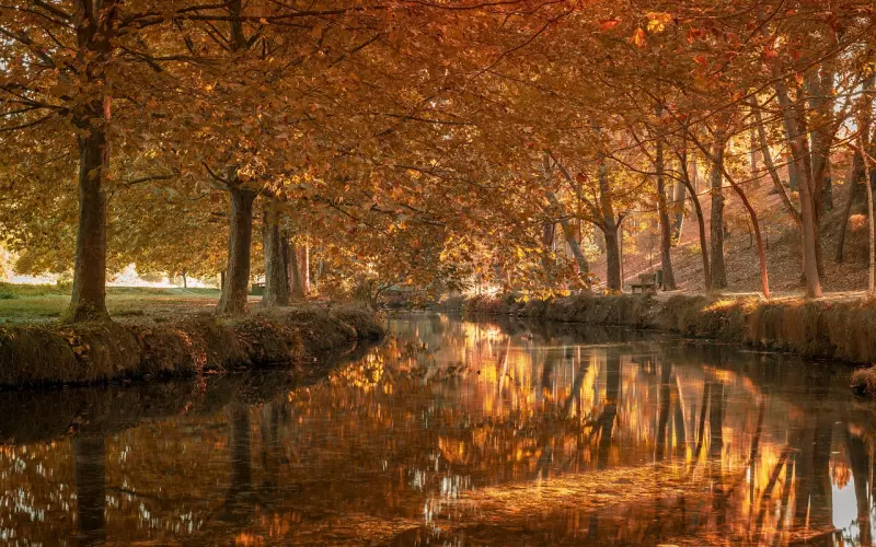 人缘名僧阿赞锭2556瓦碰拉曼 火眼鲁士