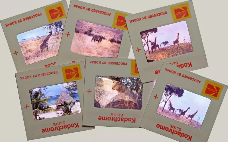 男生正向价值加分项