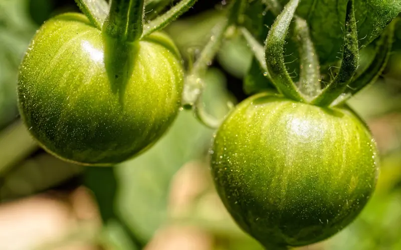 追女生实用技巧，避免的8大禁忌！