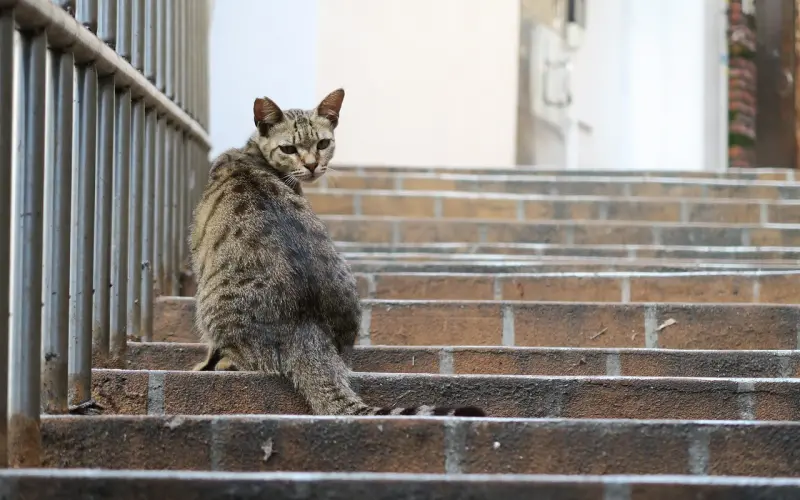 「祷告室」前任回头 接受吗？