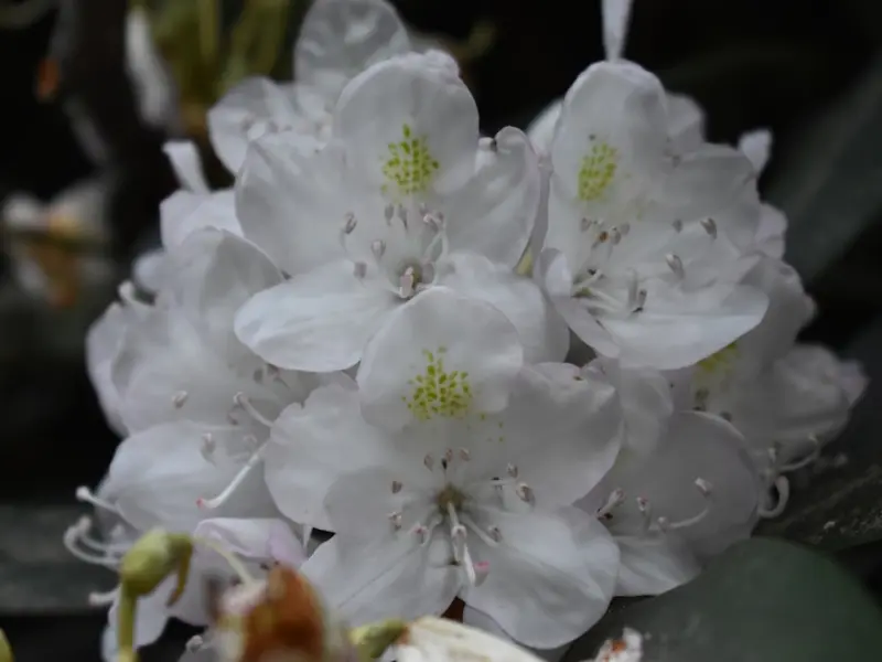 【祷告室】男上司送我特大红包想潜规则我