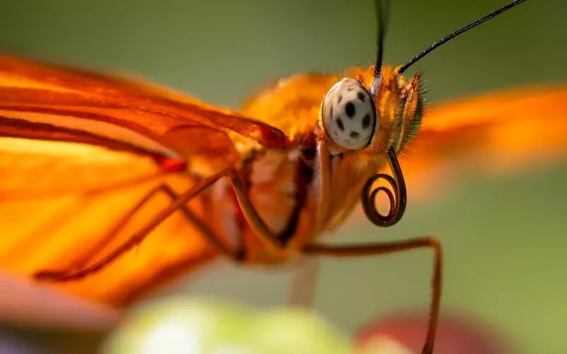 挽回前传：从这 6 个细节可以判断男人是否真的想离开你