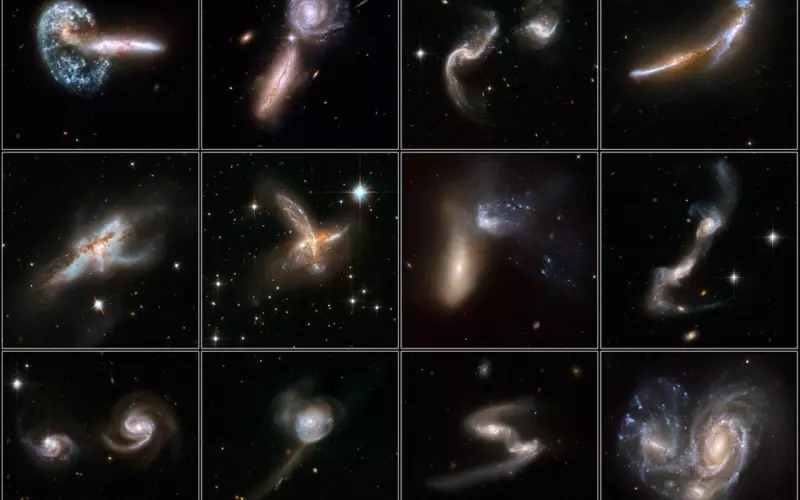 针对不同类型的小三对症下药（深度好文）