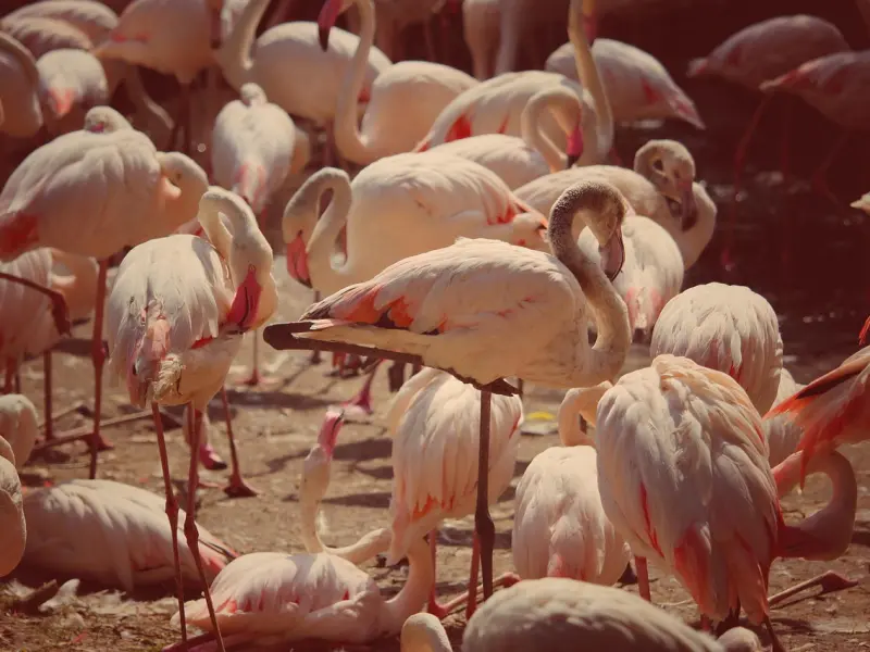 失恋心理咨询：失恋后千万别硬撑着