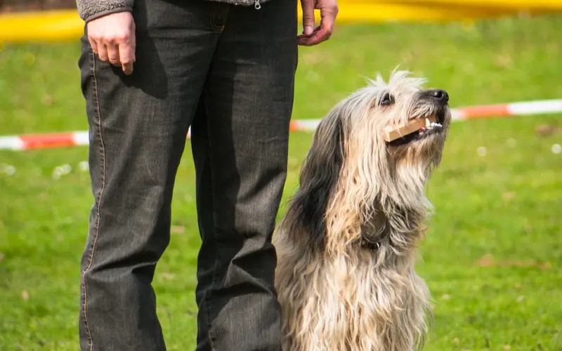 【心理测试】你会选哪个位置坐？揭露你的情感和潜在性格！