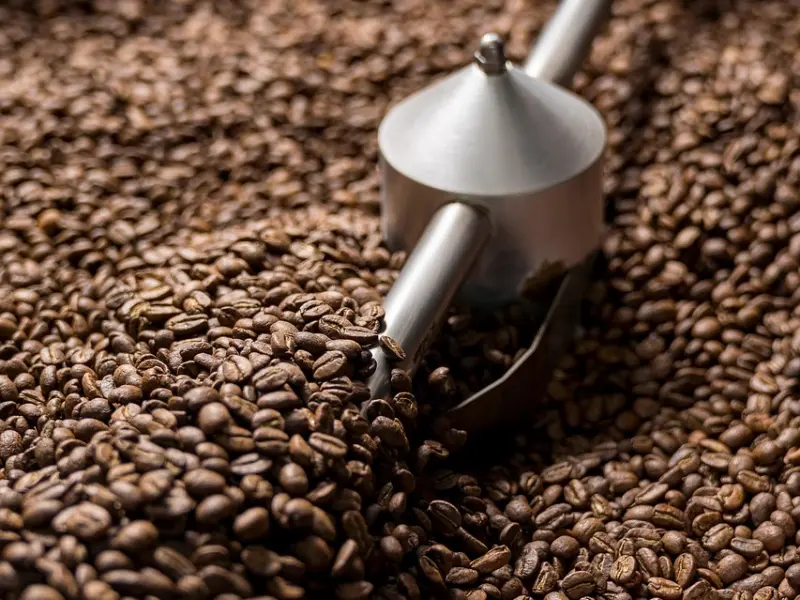 挽回过程中的心理学