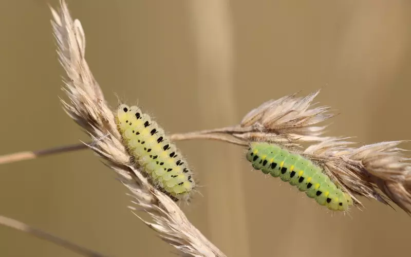 纯干货：异地恋做到这六点才能不分手