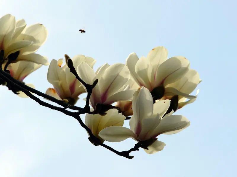 问答 | “我真的很爱你，所以要拉黑你”