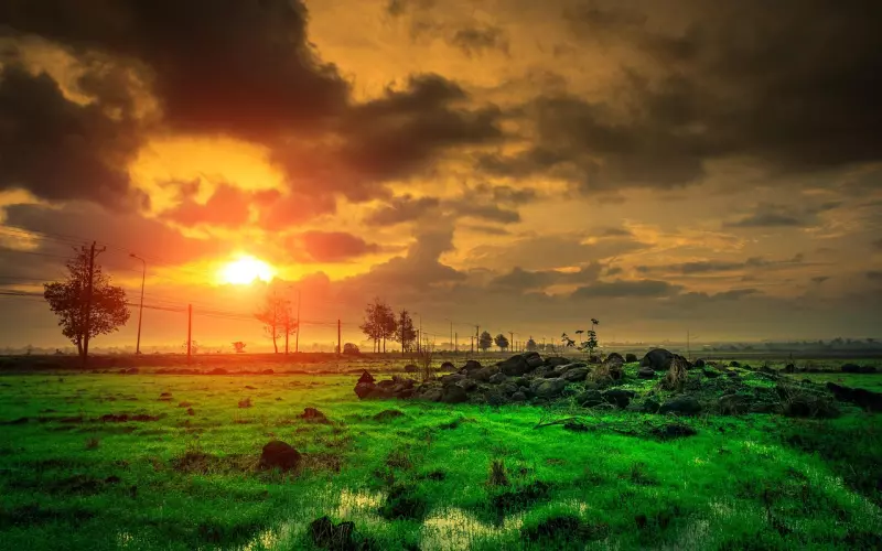 吵架其实能够促进彼此的感情升温