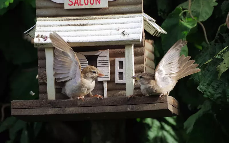 吵架也是门学问，学会这样吵架，你也能挽回情感