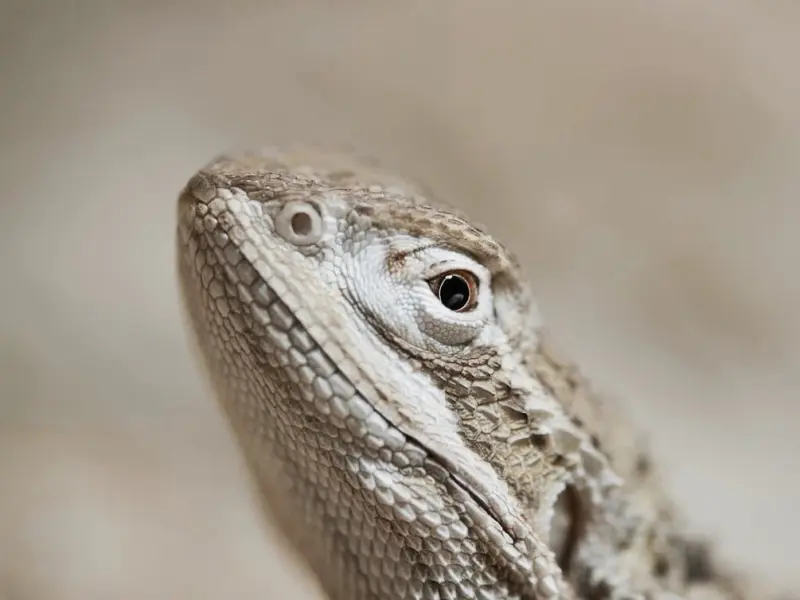 有问必答 | 在挽回之前，女人要想清楚一个问题