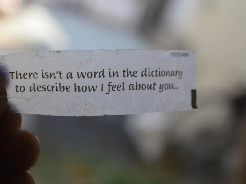 挽回爱情语录，精选20句