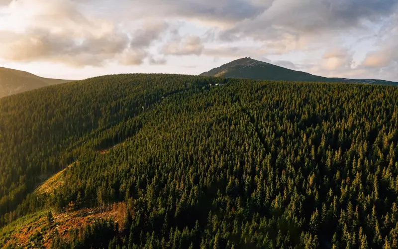 朋友圈深入人心的人生哲理感悟语录，非常走心的早安心语