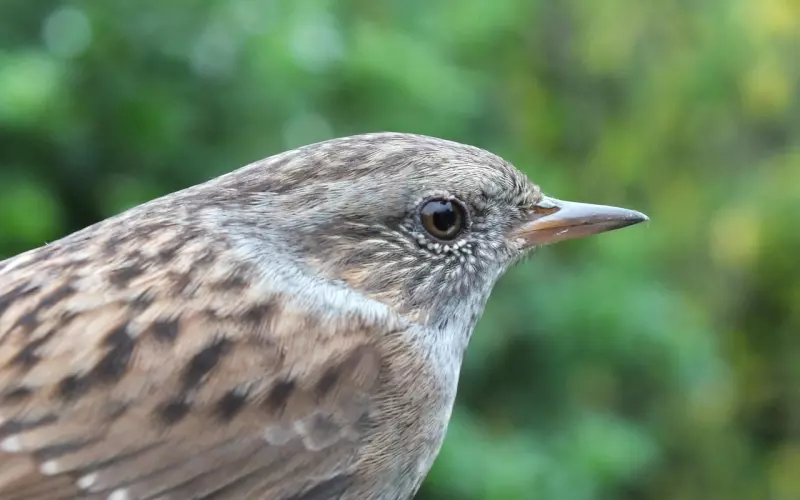 合理化行为，会加重你的挽回难度