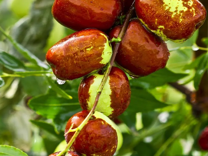 【为你读信】我爱你，是真心话，也是大冒险