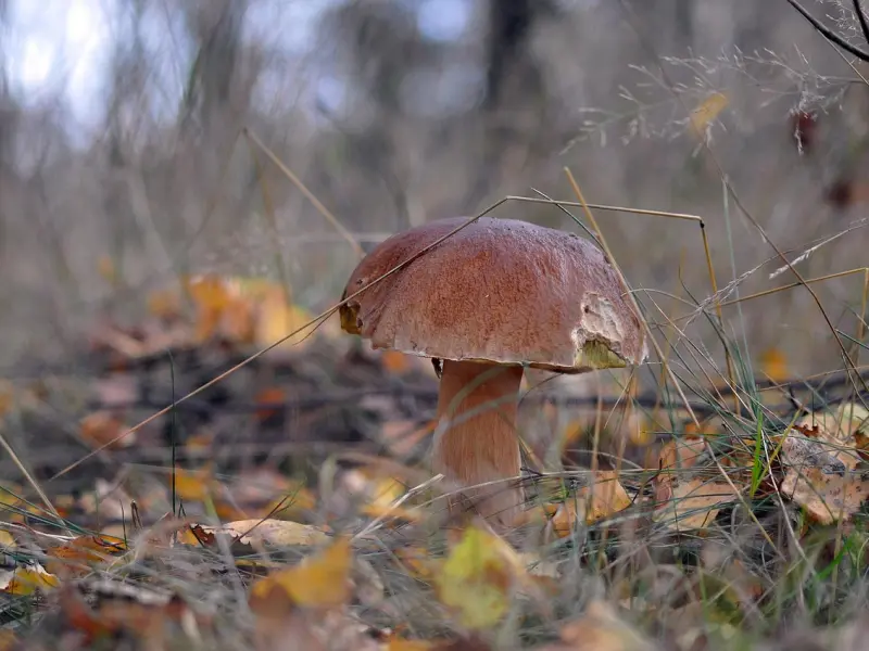 真实经历告诉你，失恋了怎么调整心情