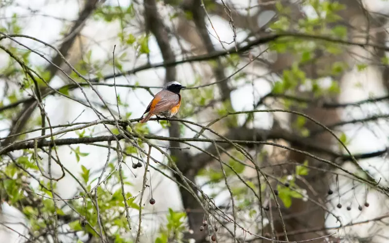 真正的高情商交友，从断舍离开始！