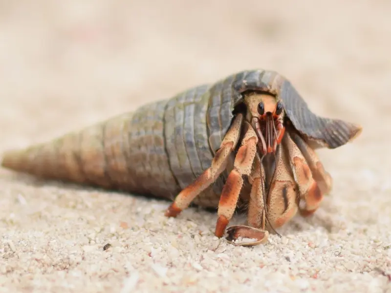 真正的放下，不是删除拉黑，从此不联系，而是这几个字