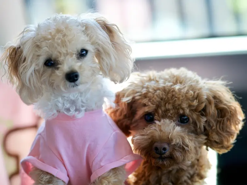 ​真人案例 | 性格完全相反的男女，如何化解感情危机？