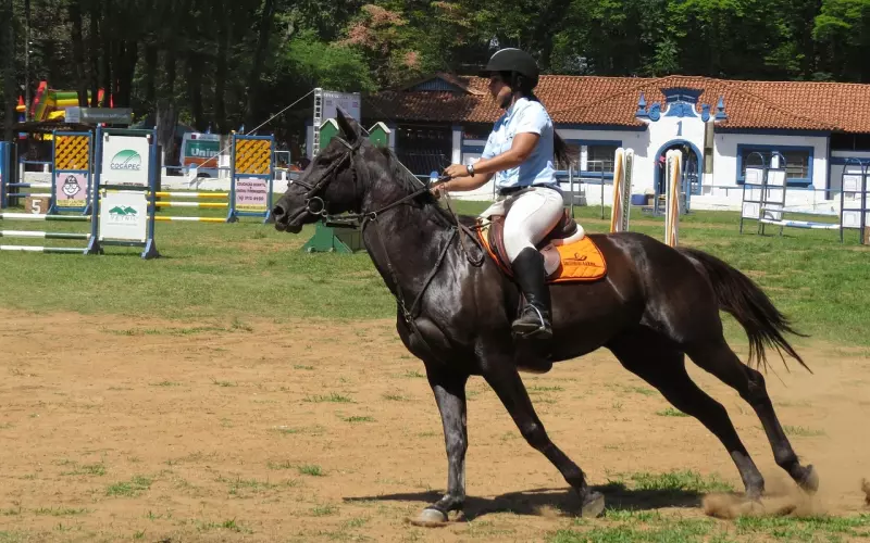 真人案例丨学会这样建设感情框架，你也能高姿态挽回