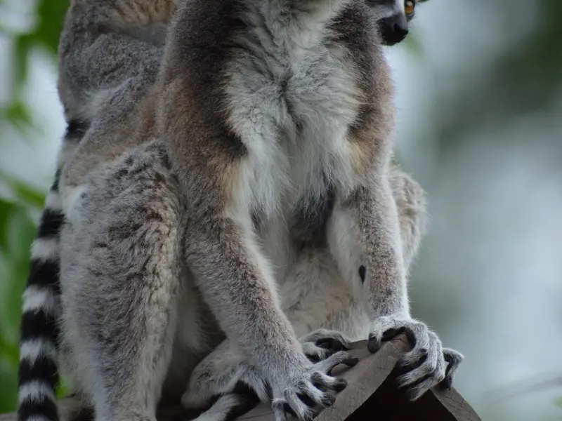 真人案例丨沦为“抹布女”的她做了这件事，完美逆袭