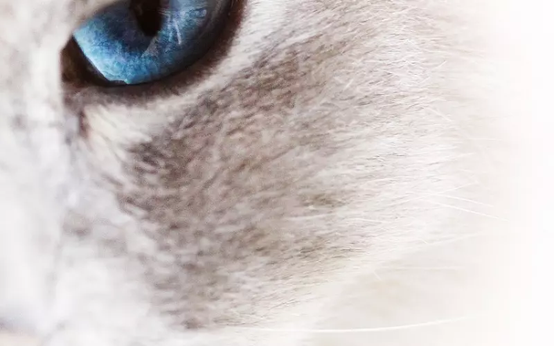 现实透彻的经典语录，精辟犀利，句句穿透人心！