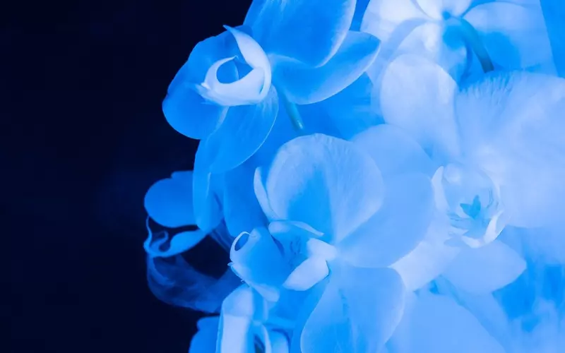 前男友忘不了前任的原因(男友说忘不了前任应该怎么办)