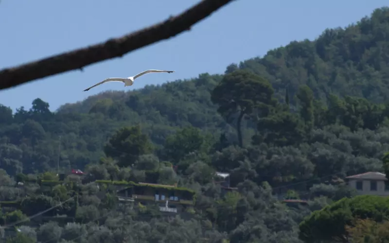 分手挽回：瞬间让他对你好感度飙升