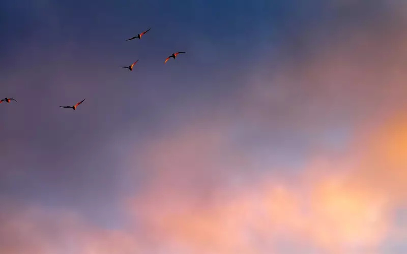 分手挽回：瞬间让他对你好感度飙升