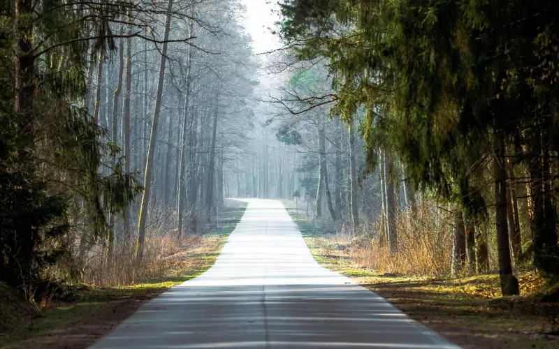 挽回伤了爱人的心，用心语重建爱情之路