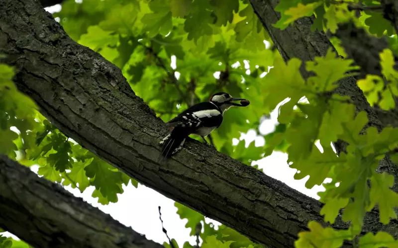 挽回最常见的几大问题